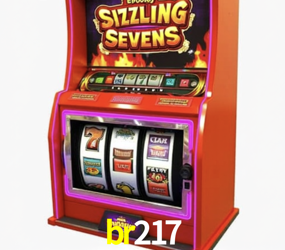 Security Systems br217
